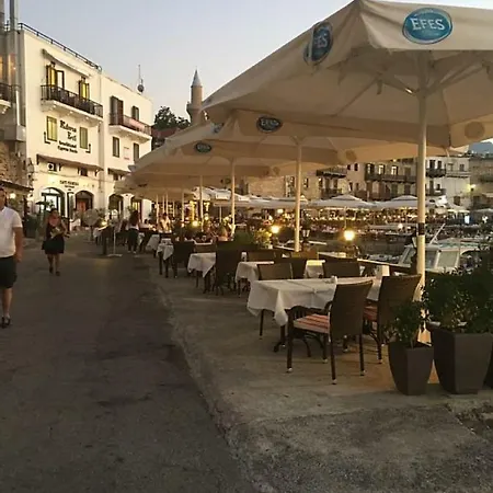 Sema * Kyrenia (Northern Cyprus)